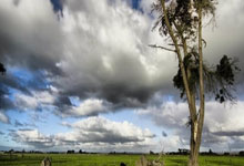 荣耀之巅，战火重燃：广州恩加剑指吉林，一场足以载入史册的胜利！