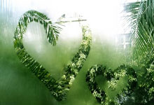 那不勒斯：蓝色风暴席卷亚平宁，继续向国米施压！