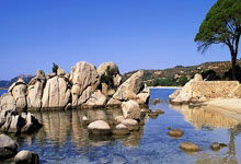 德意志战车呼啸而来：欧预赛王者之姿，剑指荣耀巅峰！